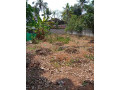 house-plot-for-sale-in-trivandrum-neyyattinkara-small-0