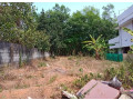 house-plot-for-sale-in-trivandrum-neyyattinkara-small-1