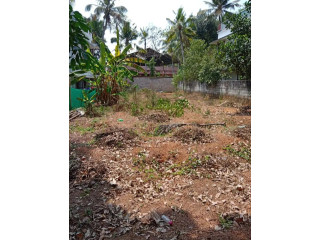 House plot for sale in Trivandrum neyyattinkara